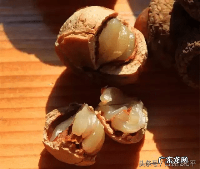 4大壮阳水果 壮阳果的别名叫什么