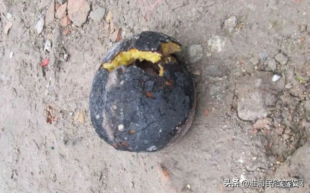 风水卦师小说 风水卦师有人尊重吗