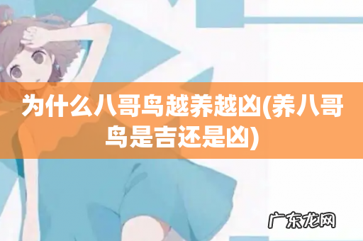 养八哥鸟是吉还是凶 为什么八哥鸟越养越凶