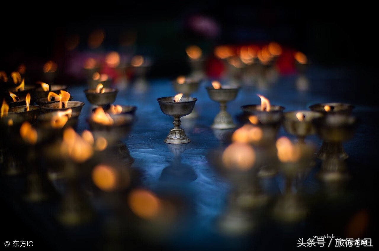 三头蛇 双头蛇风水好吗