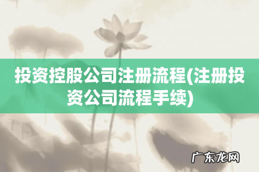 注册投资公司流程手续 投资控股公司注册流程