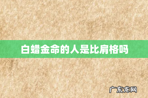 白蜡金命的人是比肩格吗