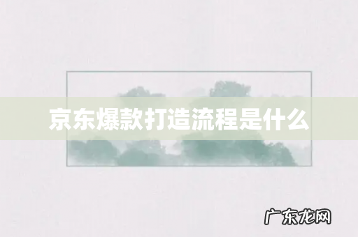 京东爆款打造流程是什么