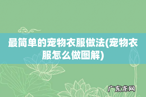 宠物衣服怎么做图解 最简单的宠物衣服做法