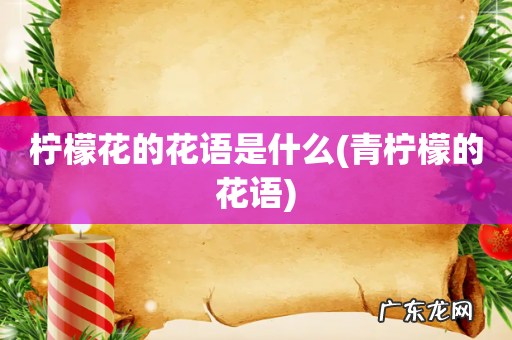 青柠檬的花语 柠檬花的花语是什么