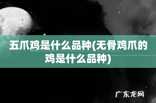 无骨鸡爪的鸡是什么品种 五爪鸡是什么品种