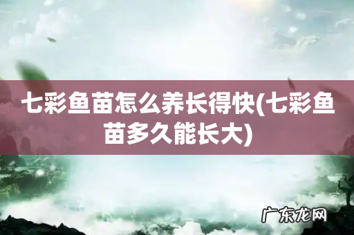 七彩鱼苗多久能长大 七彩鱼苗怎么养长得快