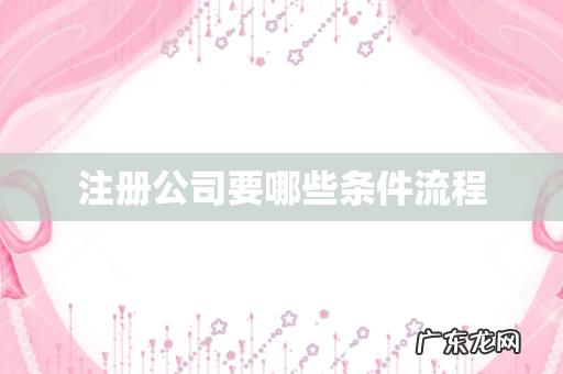 注册公司要哪些条件流程