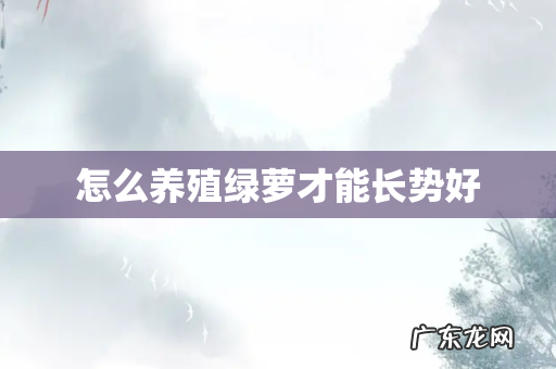 怎么养殖绿萝才能长势好