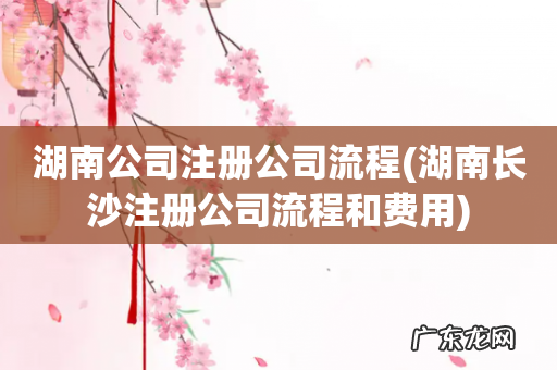 湖南长沙注册公司流程和费用 湖南公司注册公司流程