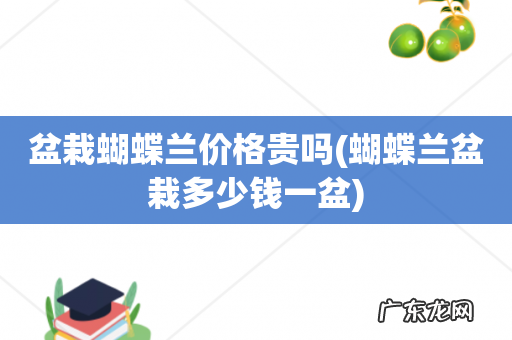 蝴蝶兰盆栽多少钱一盆 盆栽蝴蝶兰价格贵吗