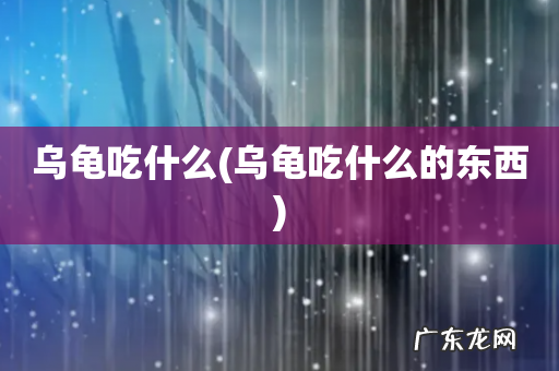 乌龟吃什么的东西 乌龟吃什么