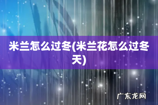 米兰花怎么过冬天 米兰怎么过冬