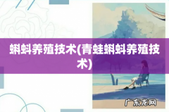 青蛙蝌蚪养殖技术 蝌蚪养殖技术