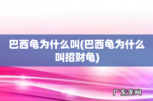 巴西龟为什么叫招财龟 巴西龟为什么叫