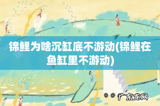 锦鲤在鱼缸里不游动 锦鲤为啥沉缸底不游动