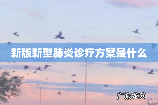新版新型肺炎诊疗方案是什么
