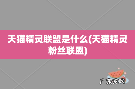 天猫精灵粉丝联盟 天猫精灵联盟是什么