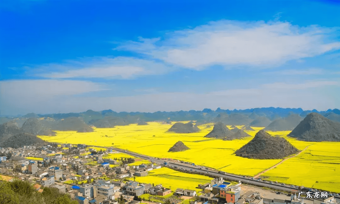 油菜花什么时候开放 油菜花什么时候开花