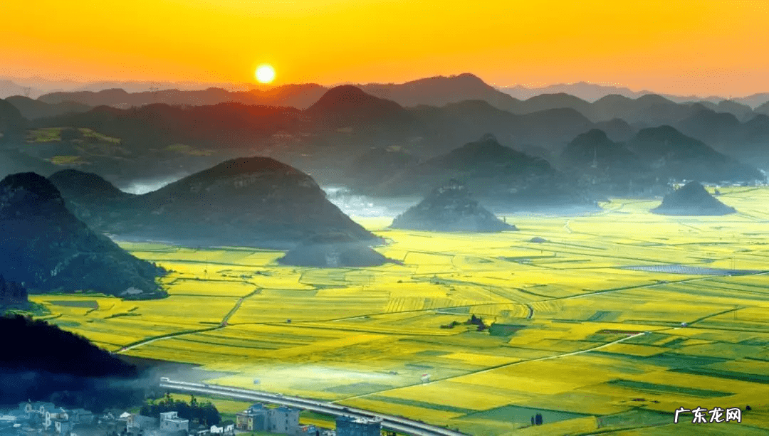 油菜花什么时候开放 油菜花什么时候开花