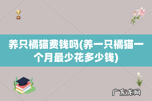 养一只橘猫一个月最少花多少钱 养只橘猫费钱吗