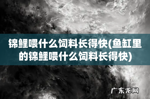 鱼缸里的锦鲤喂什么饲料长得快 锦鲤喂什么饲料长得快
