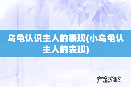 小乌龟认主人的表现 乌龟认识主人的表现