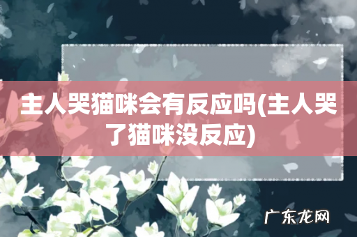 主人哭了猫咪没反应 主人哭猫咪会有反应吗