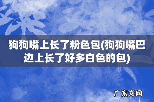 狗狗嘴巴边上长了好多白色的包 狗狗嘴上长了粉色包