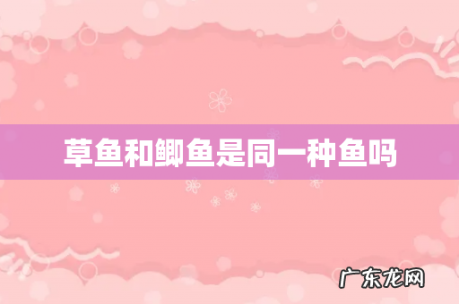 草鱼和鲫鱼是同一种鱼吗