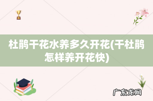 干杜鹃怎样养开花快 杜鹃干花水养多久开花