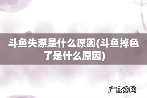 斗鱼掉色了是什么原因 斗鱼失漂是什么原因