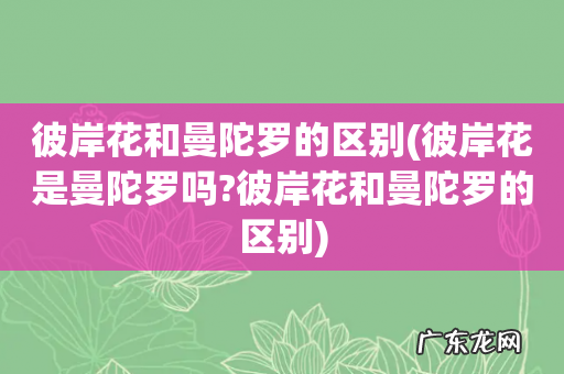 彼岸花是曼陀罗吗?彼岸花和曼陀罗的区别 彼岸花和曼陀罗的区别