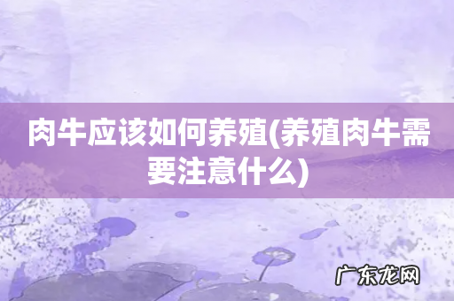 养殖肉牛需要注意什么 肉牛应该如何养殖