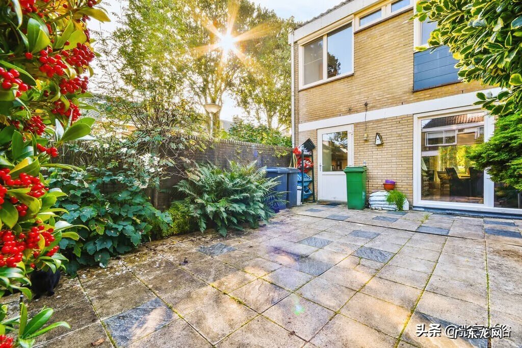 院子比屋里高风水如何 树比屋高好吗