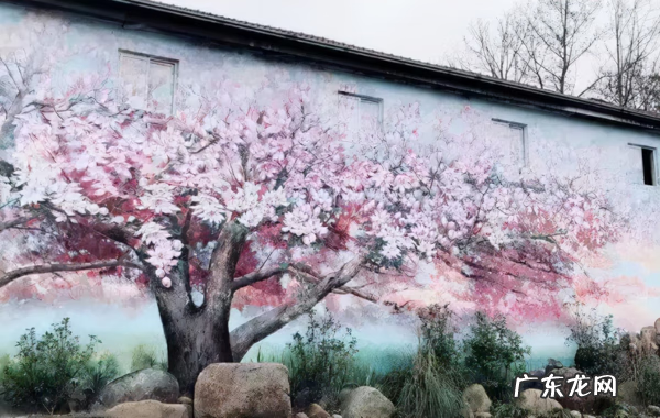 院内墙画什么风水好 庭院风水画