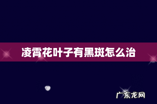 凌霄花叶子有黑斑怎么治