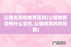 公猫绝育后有什么变化,公猫绝育的利与弊 公猫去势和绝育区别