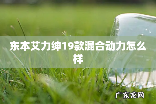 东本艾力绅19款混合动力怎么样