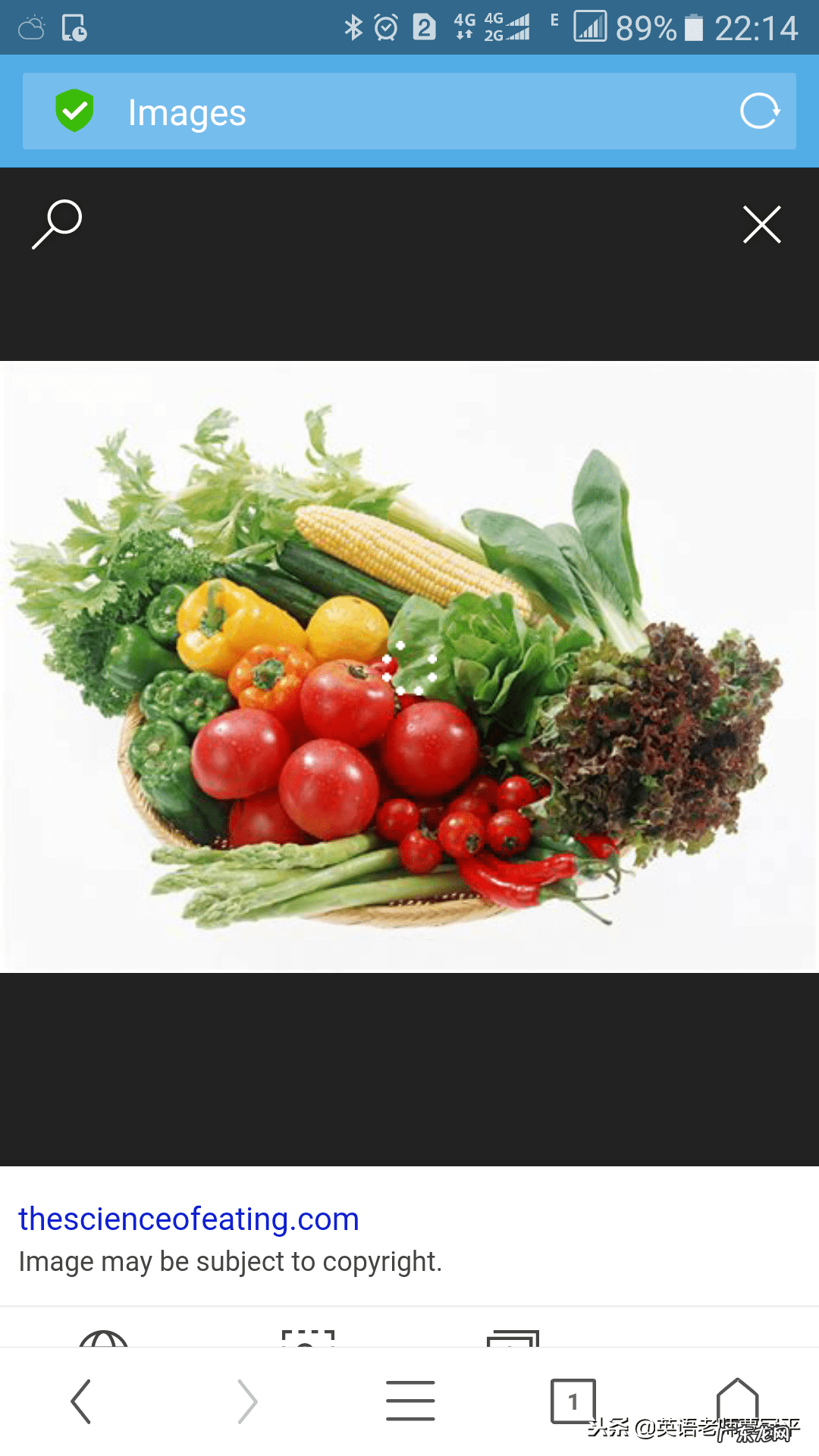 蔬菜英语怎么说