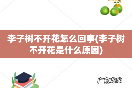 李子树不开花是什么原因 李子树不开花怎么回事