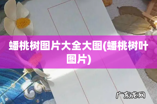 蟠桃树叶图片 蟠桃树图片大全大图