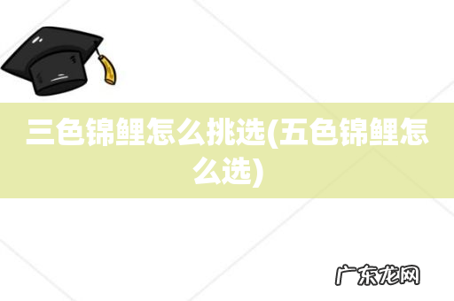 五色锦鲤怎么选 三色锦鲤怎么挑选