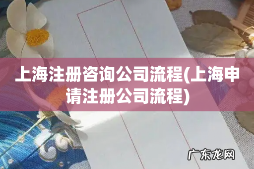 上海申请注册公司流程 上海注册咨询公司流程