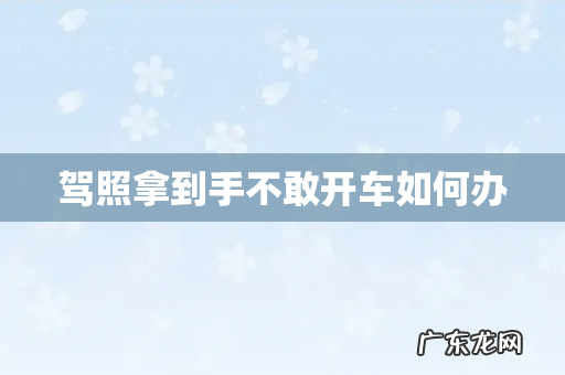 驾照拿到手不敢开车如何办