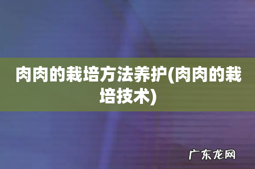 肉肉的栽培技术 肉肉的栽培方法养护