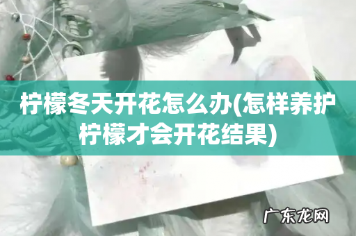 怎样养护柠檬才会开花结果 柠檬冬天开花怎么办