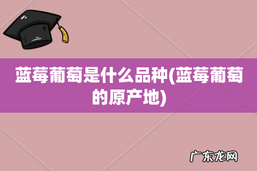 蓝莓葡萄的原产地 蓝莓葡萄是什么品种
