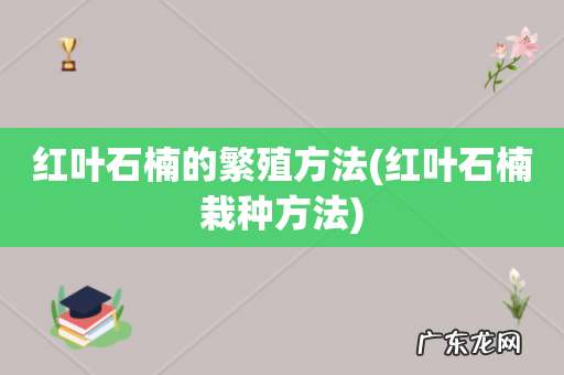 红叶石楠栽种方法 红叶石楠的繁殖方法