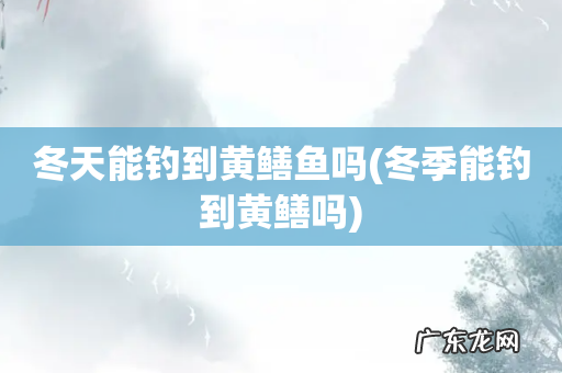 冬季能钓到黄鳝吗 冬天能钓到黄鳝鱼吗